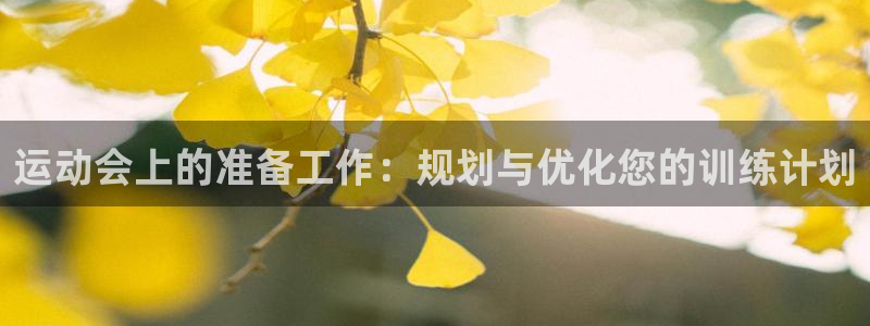 运动会上的准备工作：规划与优化您的训练计划
