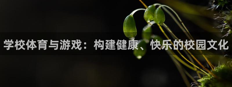 学校体育与游戏：构建健康、快乐的校园文化
