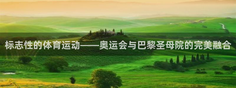 标志性的体育运动——奥运会与巴黎圣母院的完美融合