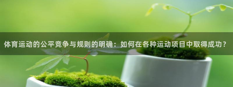 体育运动的公平竞争与规则的明确：如何在各种运动项目中取得成功？