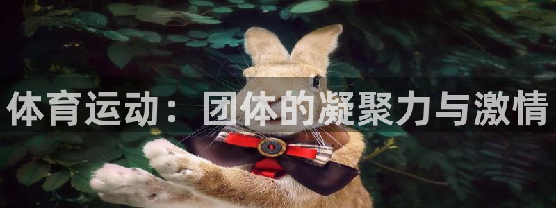 体育运动：团体的凝聚力与激情