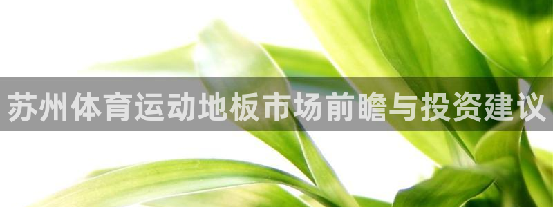 苏州体育运动地板市场前瞻与投资建议