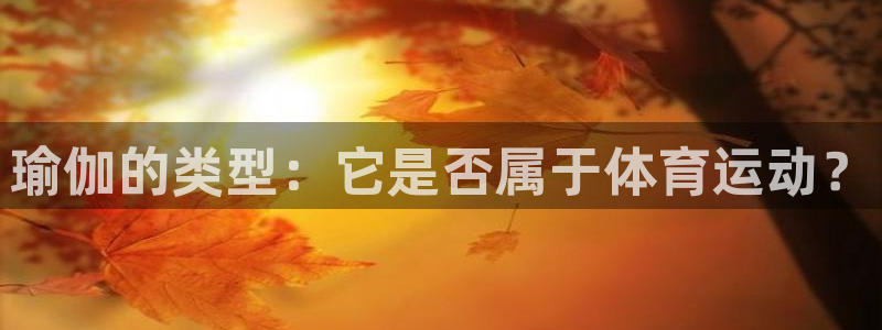 瑜伽的类型：它是否属于体育运动？