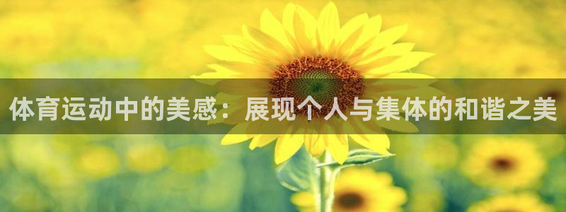 体育运动中的美感：展现个人与集体的和谐之美