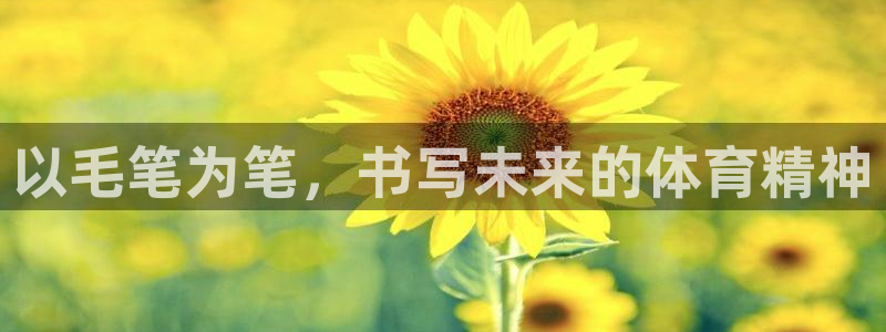 以毛笔为笔，书写未来的体育精神