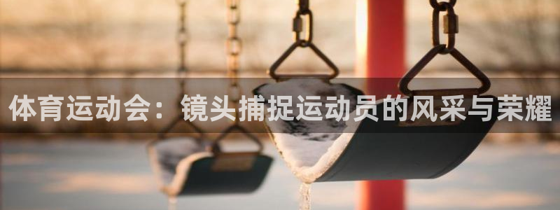 体育运动会：镜头捕捉运动员的风采与荣耀