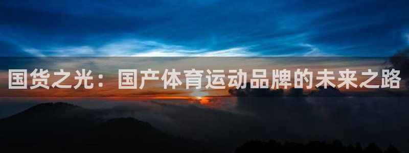 国货之光：国产体育运动品牌的未来之路