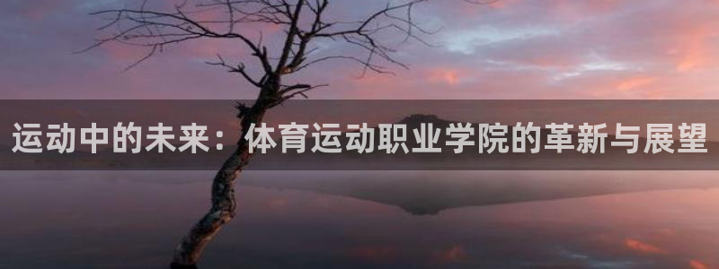 运动中的未来：体育运动职业学院的革新与展望