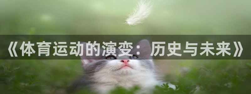 《体育运动的演变：历史与未来》